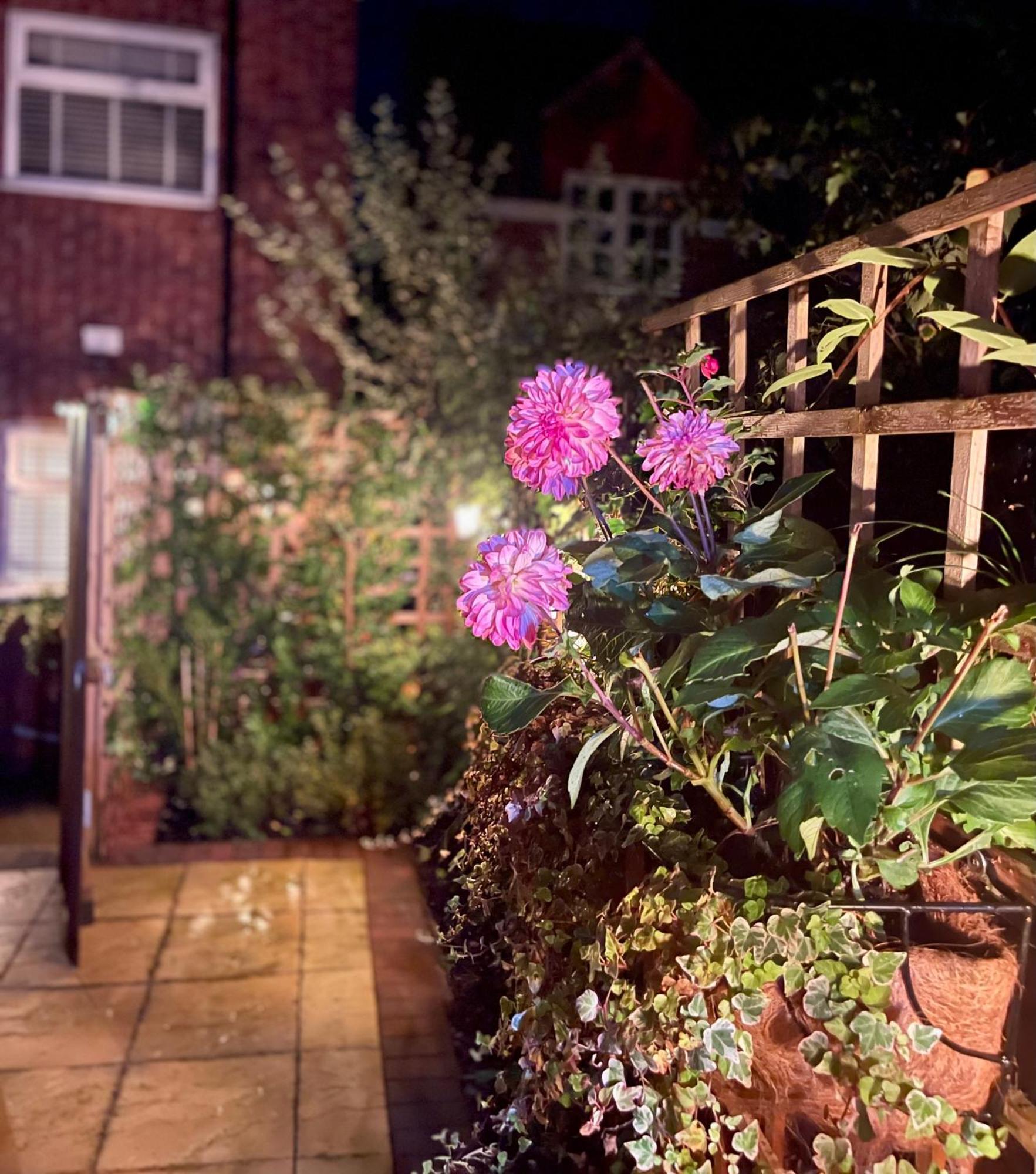 Cosy Cottage Central Bawtry - 2 Bedroom - High End Furnishings Esterno foto